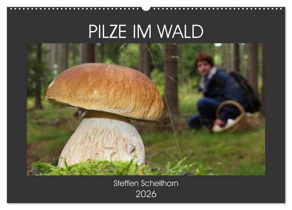 PILZE IM WALD (CALVENDO Wandkalender 2026)