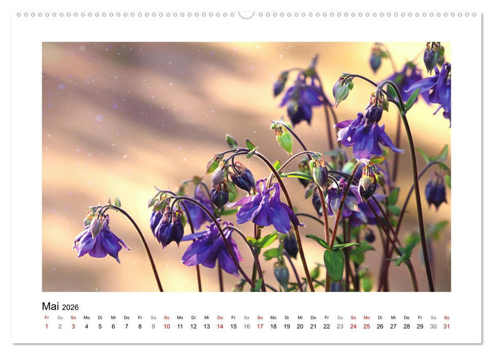 Mein Sehnsuchtsort, der Garten (CALVENDO Wandkalender 2026)