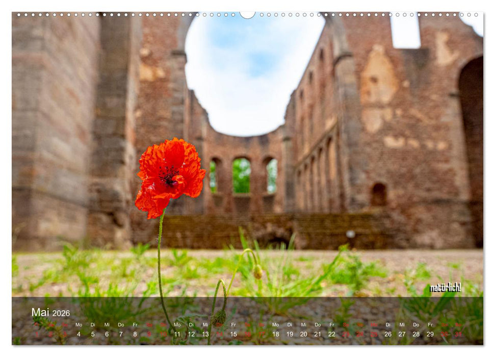 stiftsruine zu bad hersfeld (CALVENDO Wandkalender 2026)