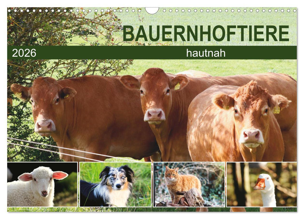 Bauernhoftiere hautnah (CALVENDO Wandkalender 2026)