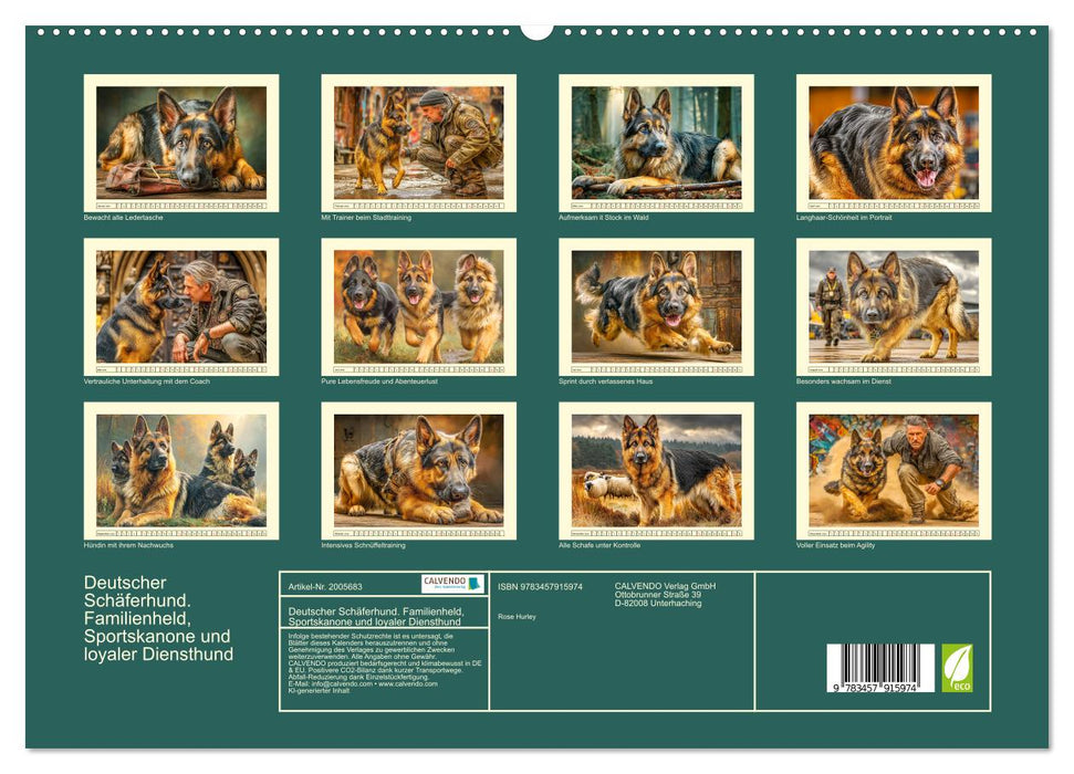 Deutscher Schäferhund. Familienheld, Sportskanone und loyaler Diensthund (CALVENDO Premium Wandkalender 2026)
