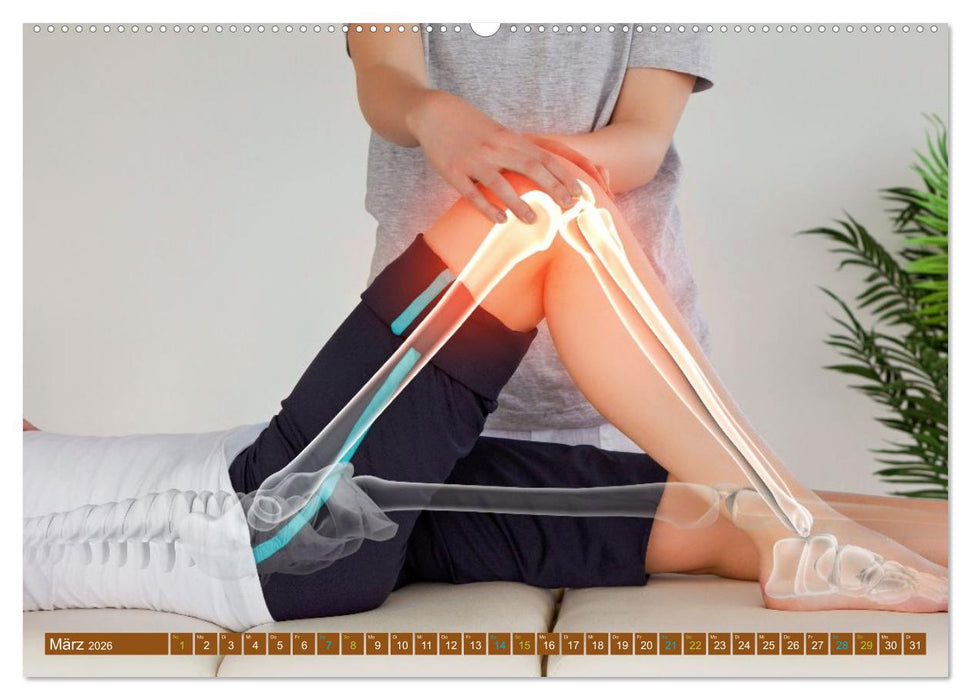 Chiropraktik - mit den Händen behandeln (CALVENDO Wandkalender 2026)