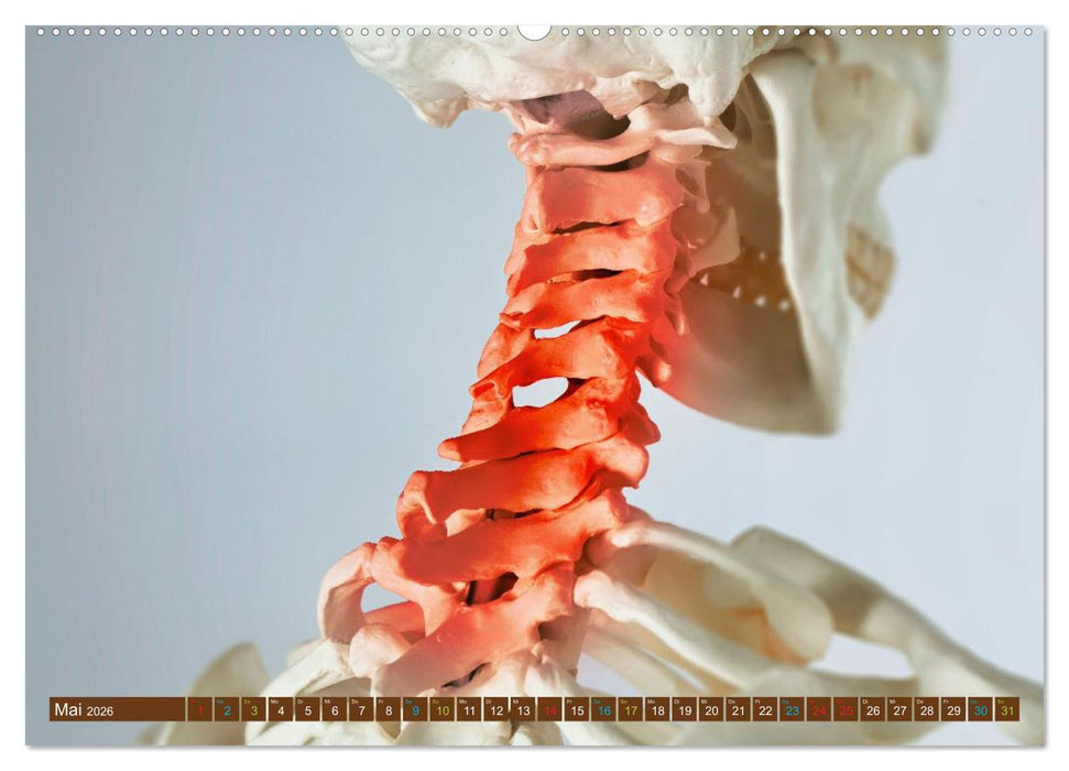 Chiropraktik - mit den Händen behandeln (CALVENDO Wandkalender 2026)