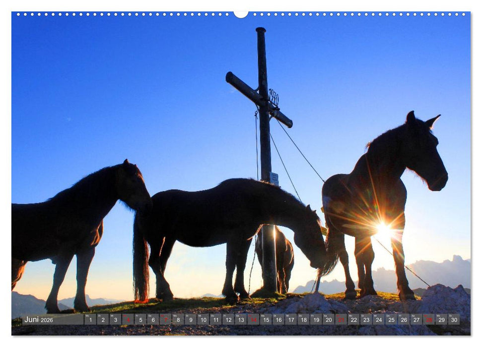 Gipfelkreuze im Sonnenlicht (CALVENDO Premium Wandkalender 2026)