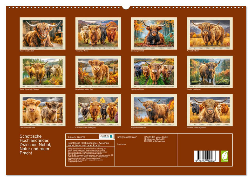 Schottische Hochlandrinder. Zwischen Nebel, Natur und rauer Pracht (CALVENDO Premium Wandkalender 2026)