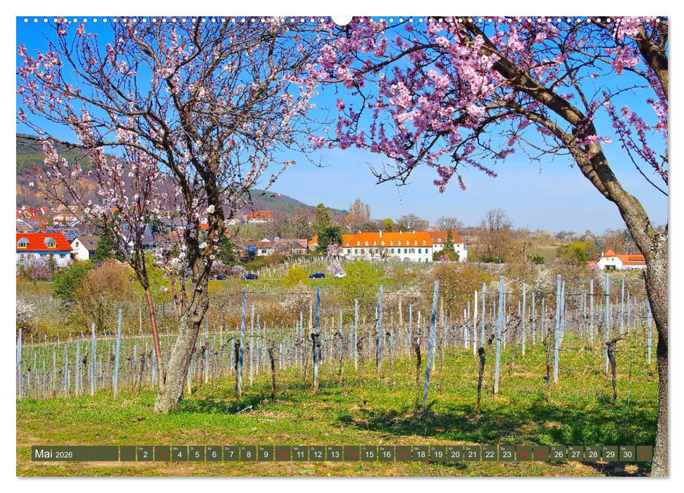 Gimmeldingen - Mandelblütenfest an der Deutschen Weinstraße (CALVENDO Wandkalender 2026)