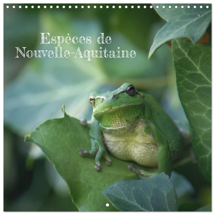 Espèces de Nouvelle Aquitaine (CALVENDO Calendrier mensuel 2026)