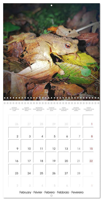 Espèces de Nouvelle Aquitaine (CALVENDO Calendrier mensuel 2026)