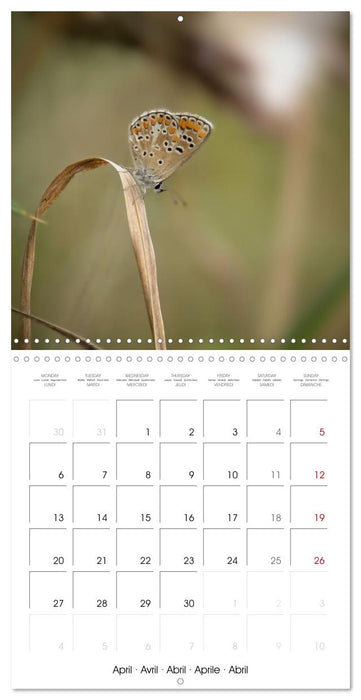 Espèces de Nouvelle Aquitaine (CALVENDO Calendrier mensuel 2026)