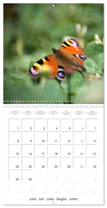 Espèces de Nouvelle Aquitaine (CALVENDO Calendrier mensuel 2026)