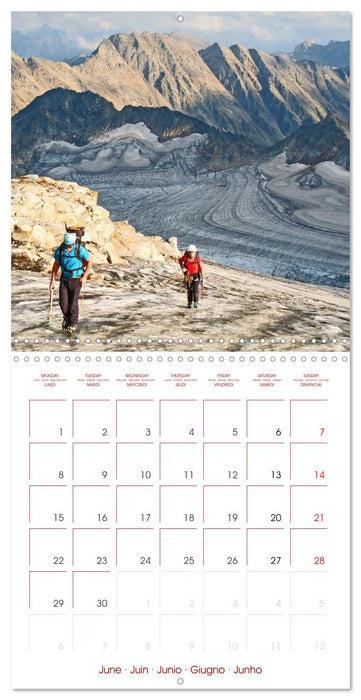 In Love with the Alps (CALVENDO Monthly Calendar 2026)