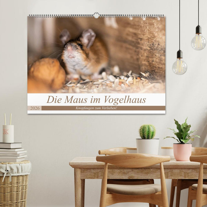 Die Maus im Vogelhaus (CALVENDO Wandkalender 2026)