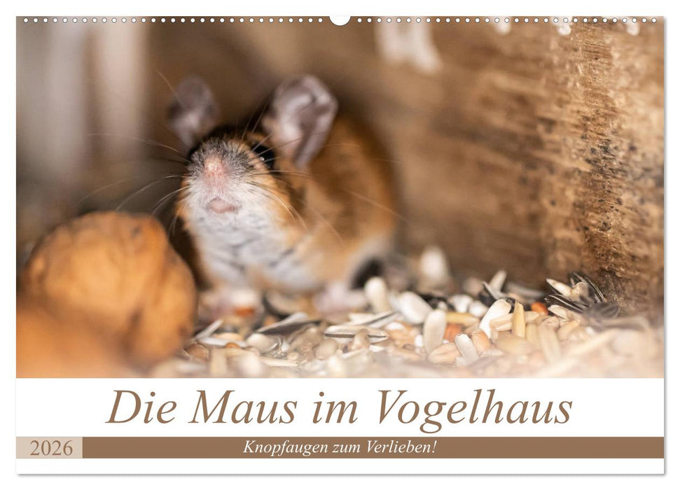 Die Maus im Vogelhaus (CALVENDO Wandkalender 2026)