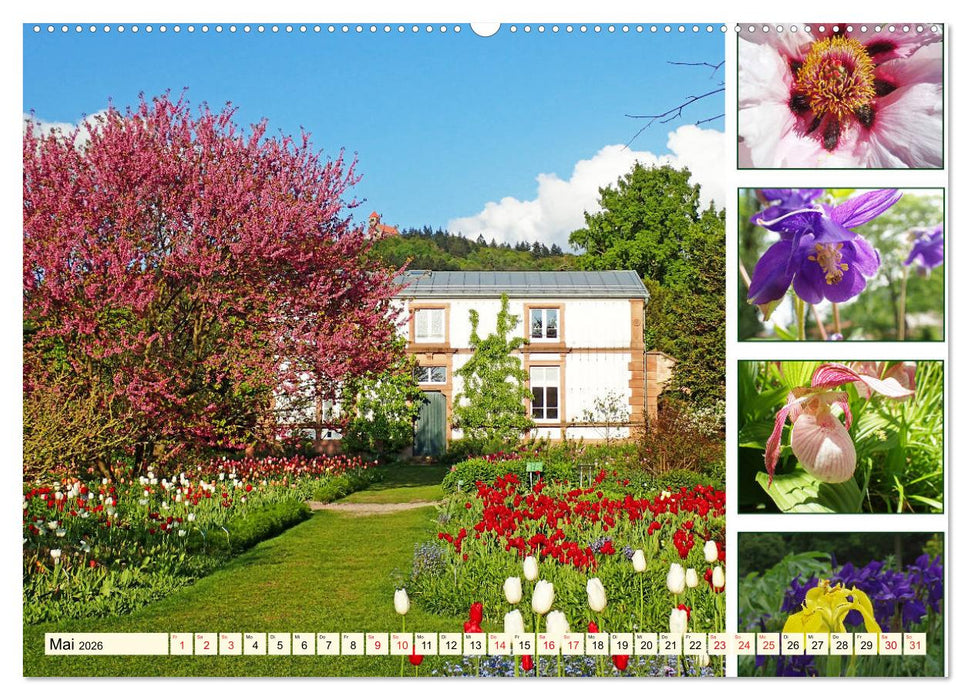 Im Hermannshof - Ein Traumgarten in Weinheim (CALVENDO Wandkalender 2026)