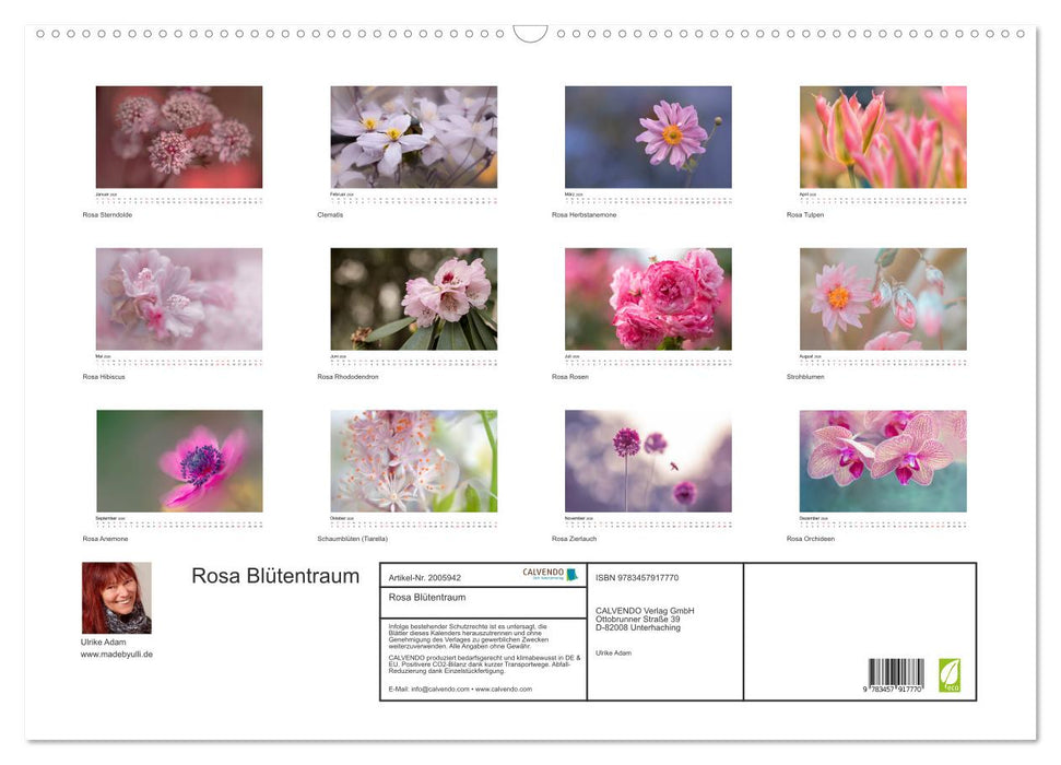 Rosa Blütentraum (CALVENDO Wandkalender 2026)