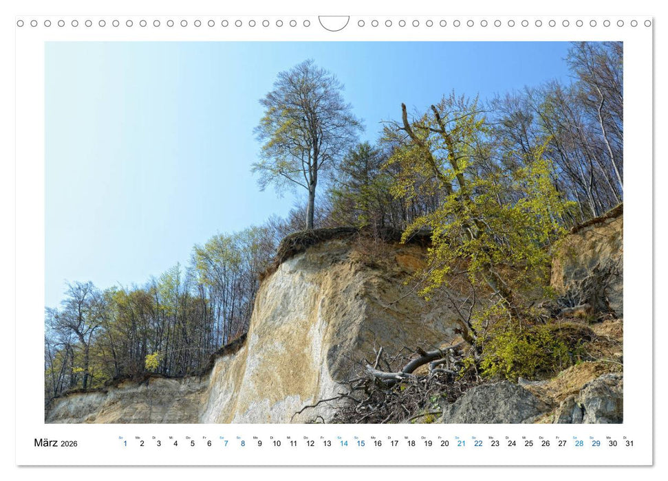 Kreidefelsen Insel Rügen - Sonne, Wind und Ostsee (CALVENDO Wandkalender 2026)