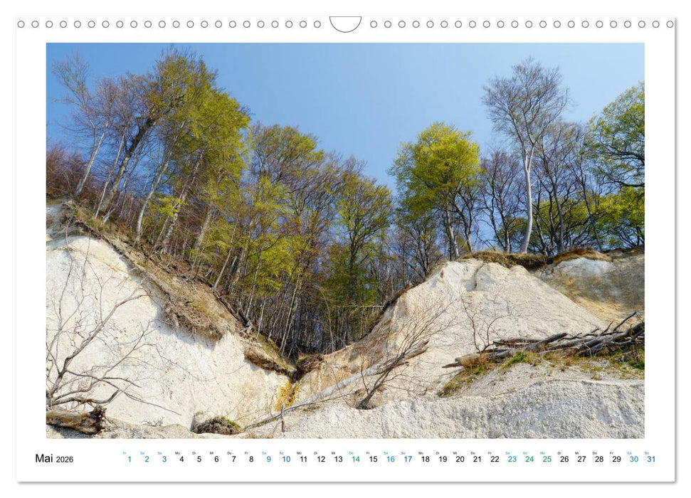 Kreidefelsen Insel Rügen - Sonne, Wind und Ostsee (CALVENDO Wandkalender 2026)