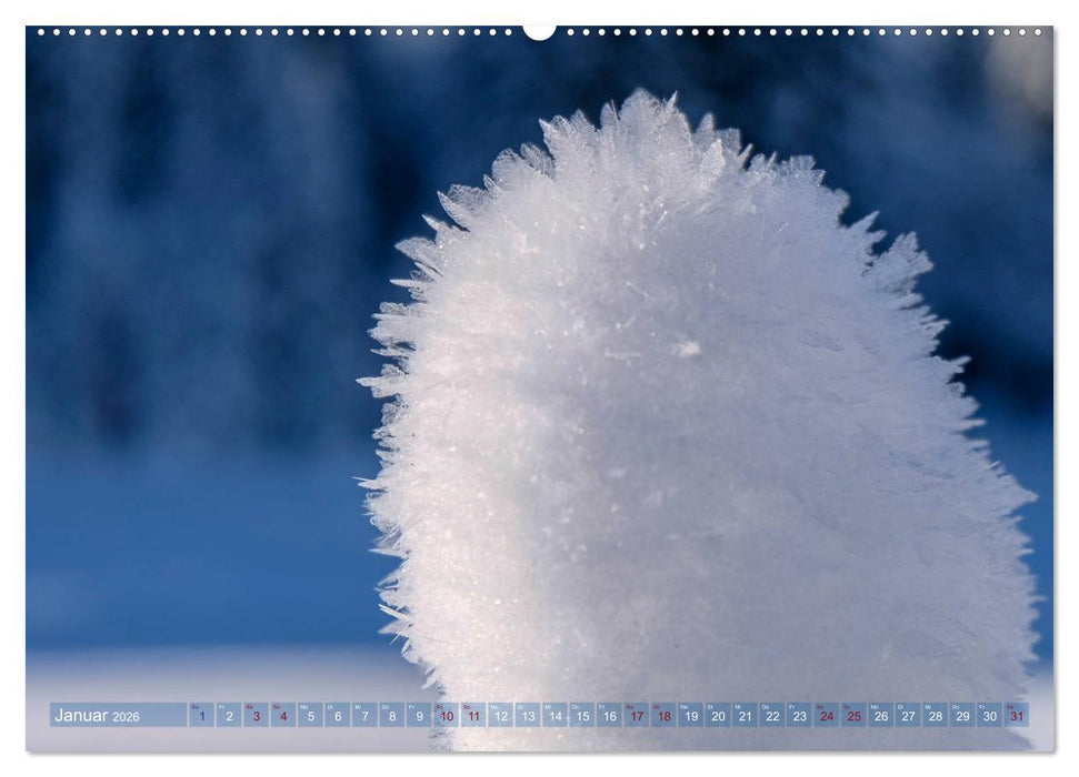 Schneeliebe (CALVENDO Wandkalender 2026)