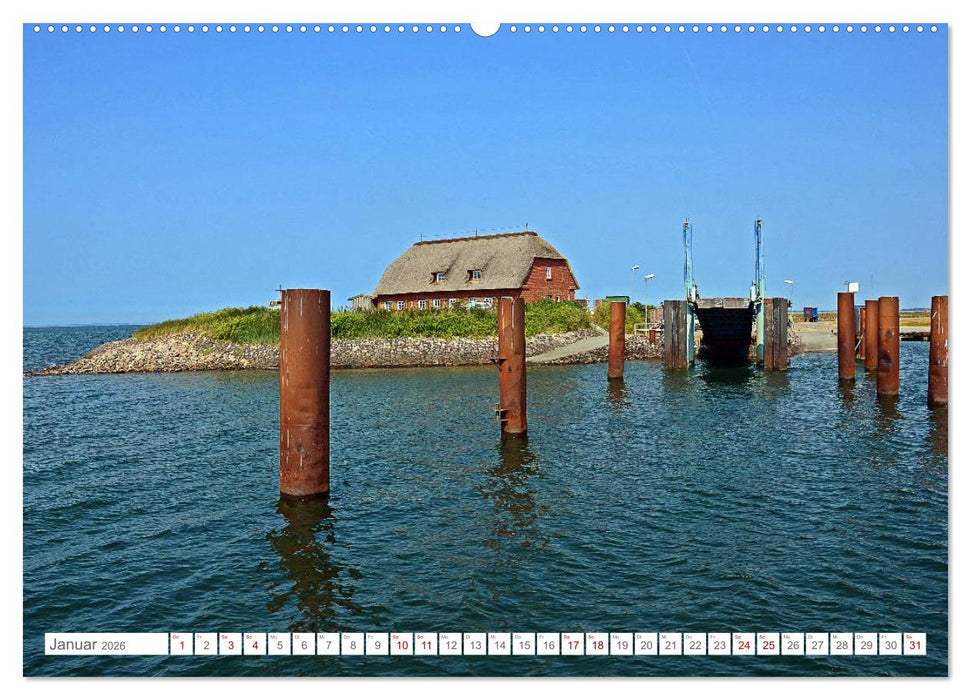 Sommertage auf Langeness (CALVENDO Wandkalender 2026)