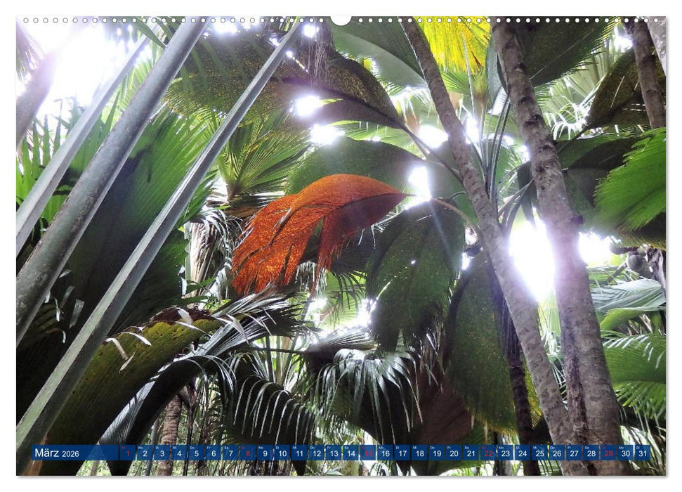 Seychellen - Wild und Schön (CALVENDO Wandkalender 2026)