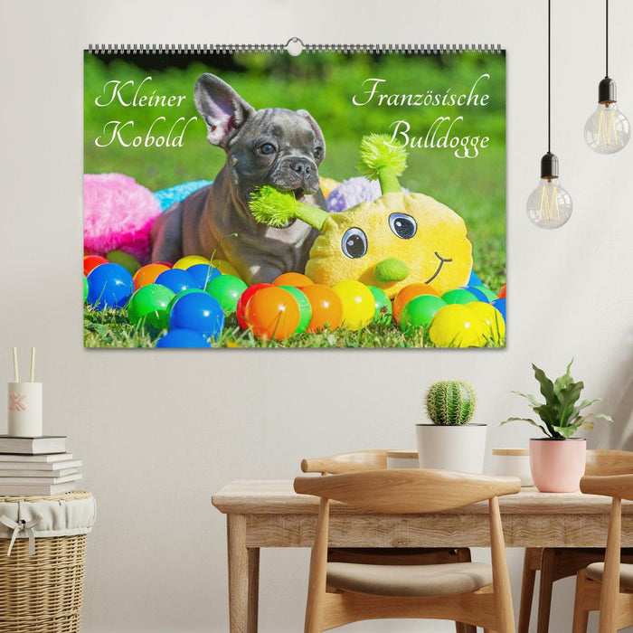 Kleiner Kobold Französische Bulldogge (CALVENDO Wandkalender 2026)