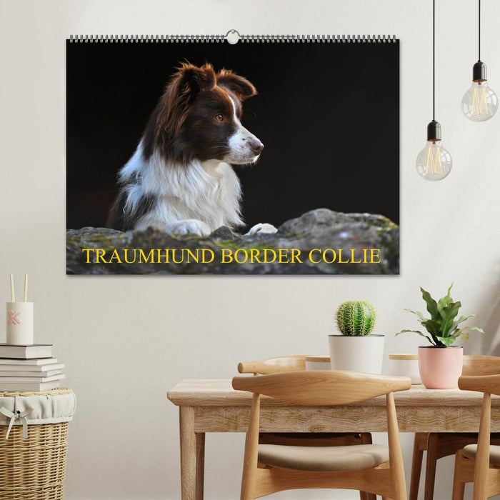 Traumhund Border Collie (CALVENDO Wandkalender 2026)