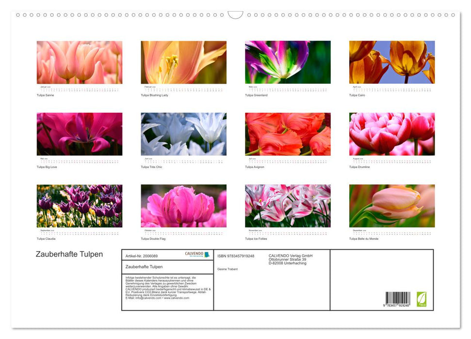 Zauberhafte Tulpen (CALVENDO Wandkalender 2026)