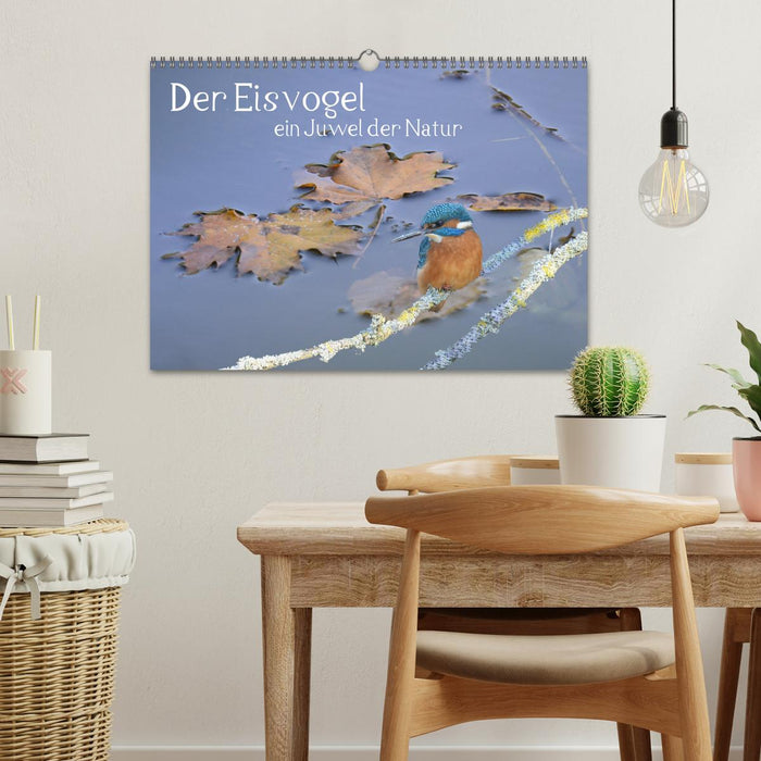 Der Eisvogel, ein Juwel der Natur (CALVENDO Wandkalender 2026)