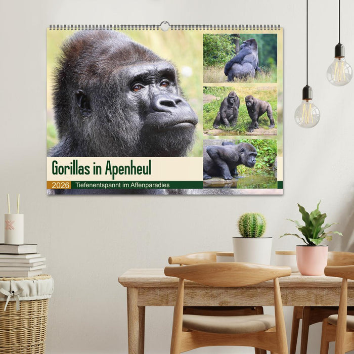 Flachlandgorillas in Apenheul (CALVENDO Wandkalender 2026)