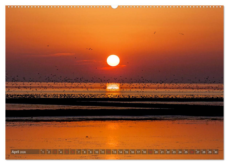 Farbspiele im Licht der Sonne (CALVENDO Wandkalender 2026)