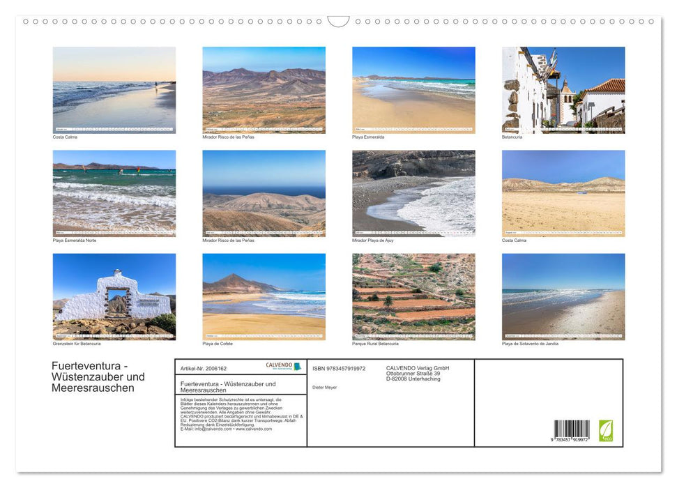 Fuerteventura - Wüstenzauber und Meeresrauschen (CALVENDO Wandkalender 2026)