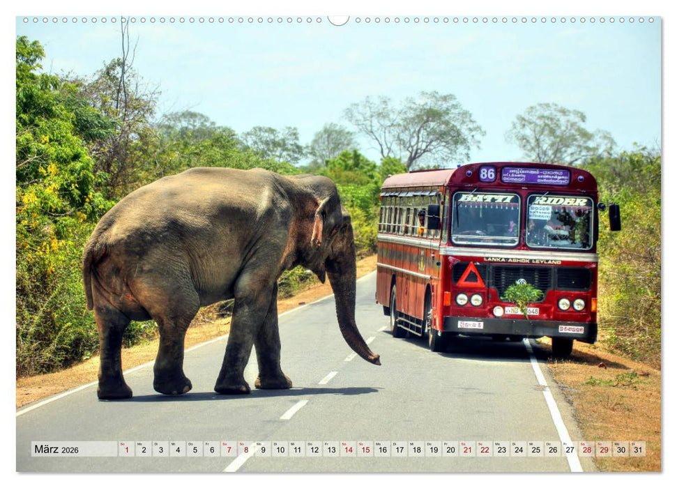 Sri Lanka - Tempel, Tee und Elefanten (CALVENDO Wandkalender 2026)