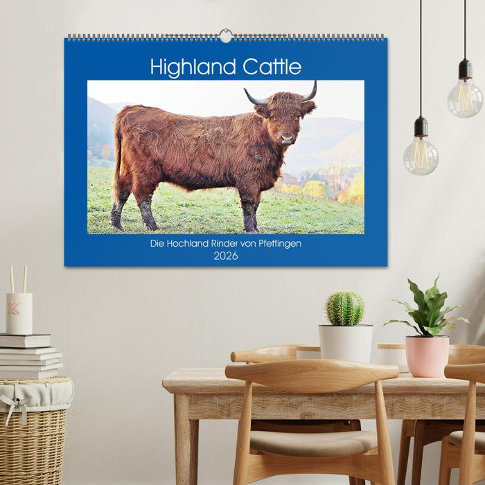Highland Cattle, die Hochlandrinder aus Pfeffingen (CALVENDO Wandkalender 2026)