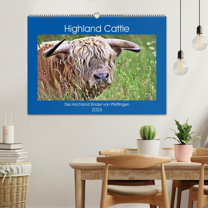 Highland Cattle, die Hochlandrinder aus Pfeffingen (CALVENDO Wandkalender 2026)