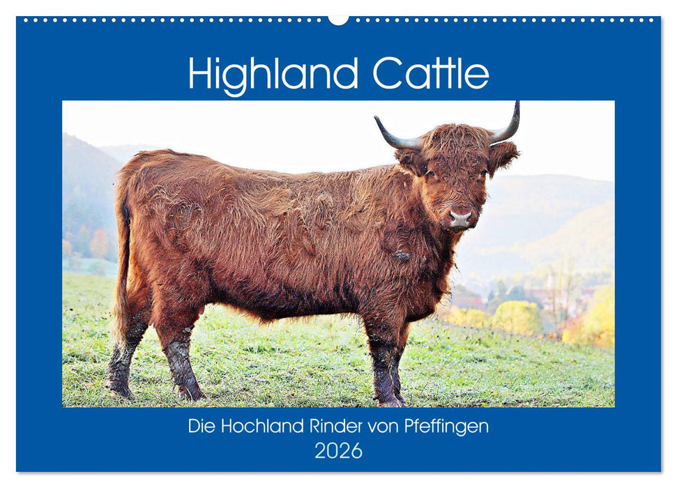 Highland Cattle, die Hochlandrinder aus Pfeffingen (CALVENDO Wandkalender 2026)