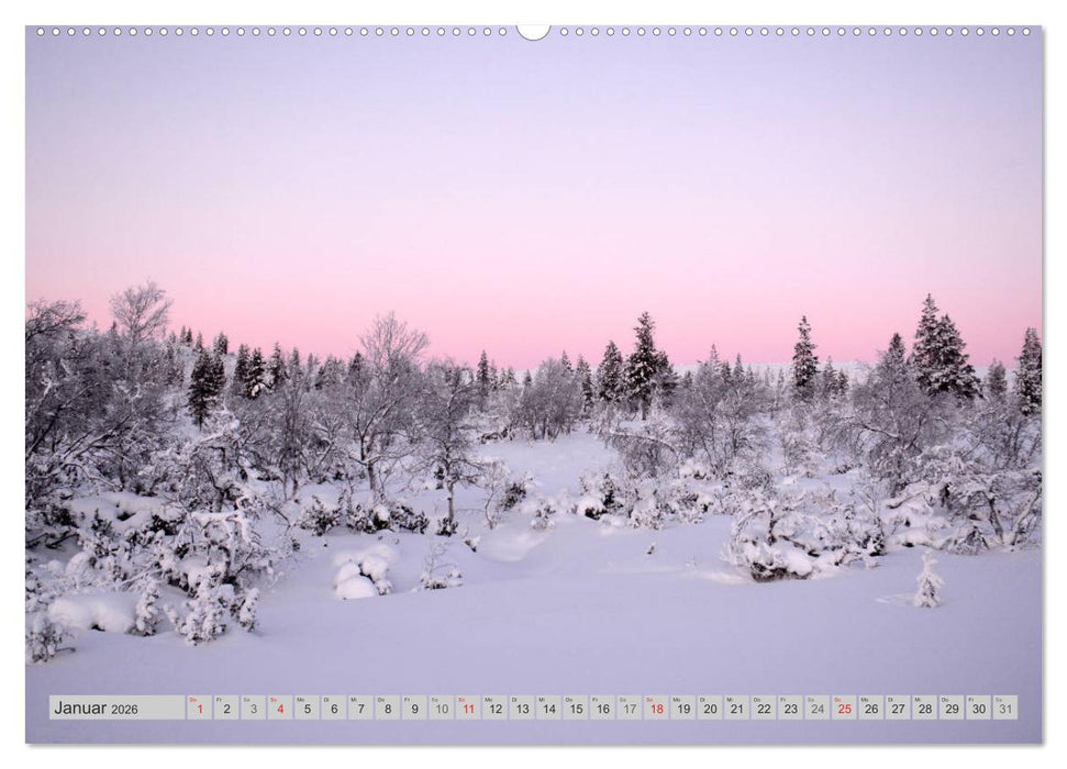 Zauberhaftes Finnland (CALVENDO Wandkalender 2026)