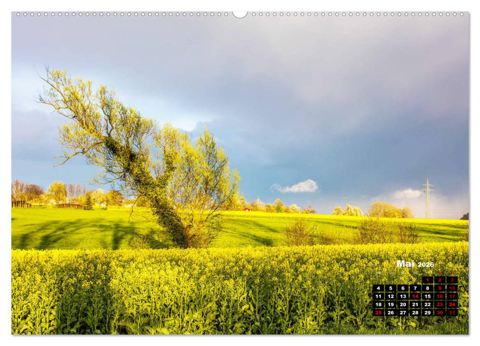 Rund um den Schönbuch (CALVENDO Wandkalender 2026)