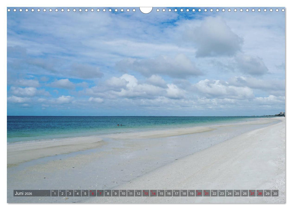 Florida - Sunshine State (CALVENDO Wandkalender 2026)