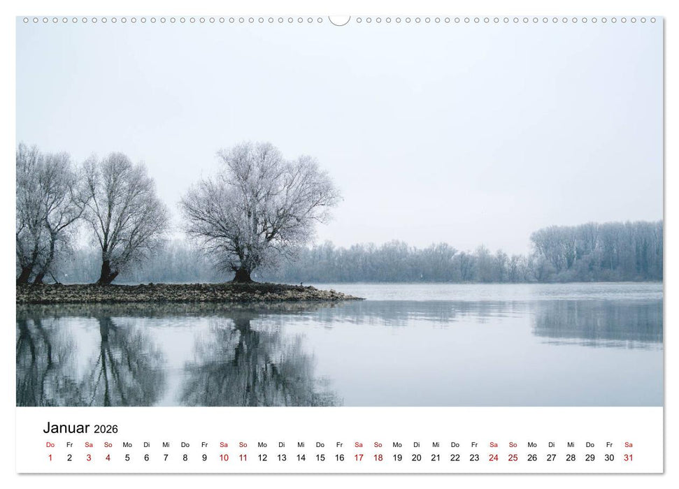 Rheingau 2026 (CALVENDO Wandkalender 2026)