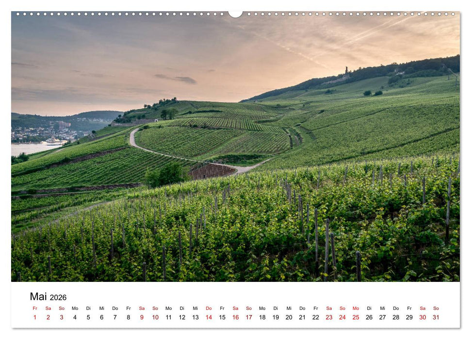 Rheingau 2026 (CALVENDO Wandkalender 2026)