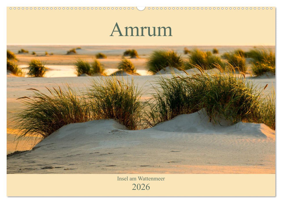 Amrum Insel am Wattenmeer (CALVENDO Wandkalender 2026)