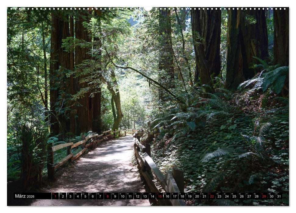 Kalifornien - wunderschöne Westküste (CALVENDO Wandkalender 2026)