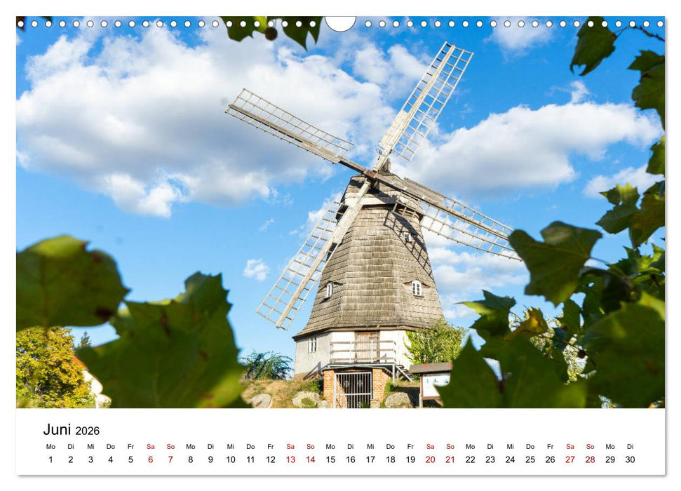 Altmarkliebe (CALVENDO Wandkalender 2026)