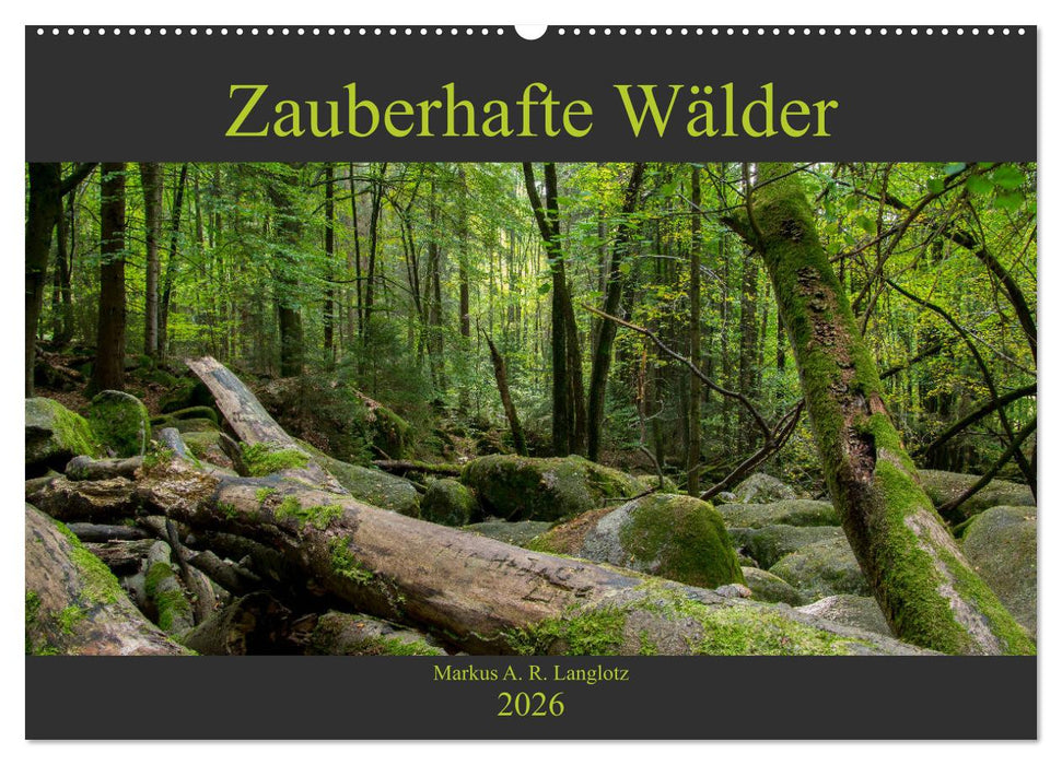 Zauberwelt Wald (CALVENDO Wandkalender 2026)