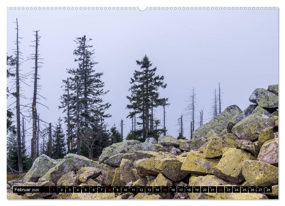 Zauberwelt Wald (CALVENDO Wandkalender 2026)