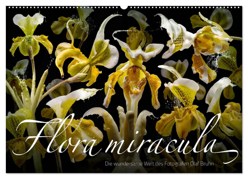 Flora miracula - Die wundersame Welt des Fotografen Olaf Bruhn (CALVENDO Wandkalender 2026)