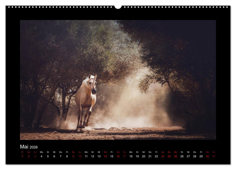 Die Faszinierende Welt der Pferde (CALVENDO Wandkalender 2026)