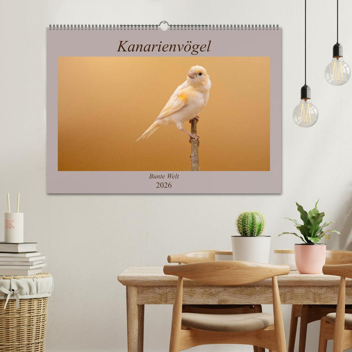 Kanarienvögel - Bunte Welt (CALVENDO Wandkalender 2026)