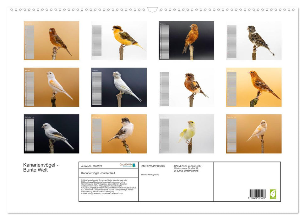 Kanarienvögel - Bunte Welt (CALVENDO Wandkalender 2026)
