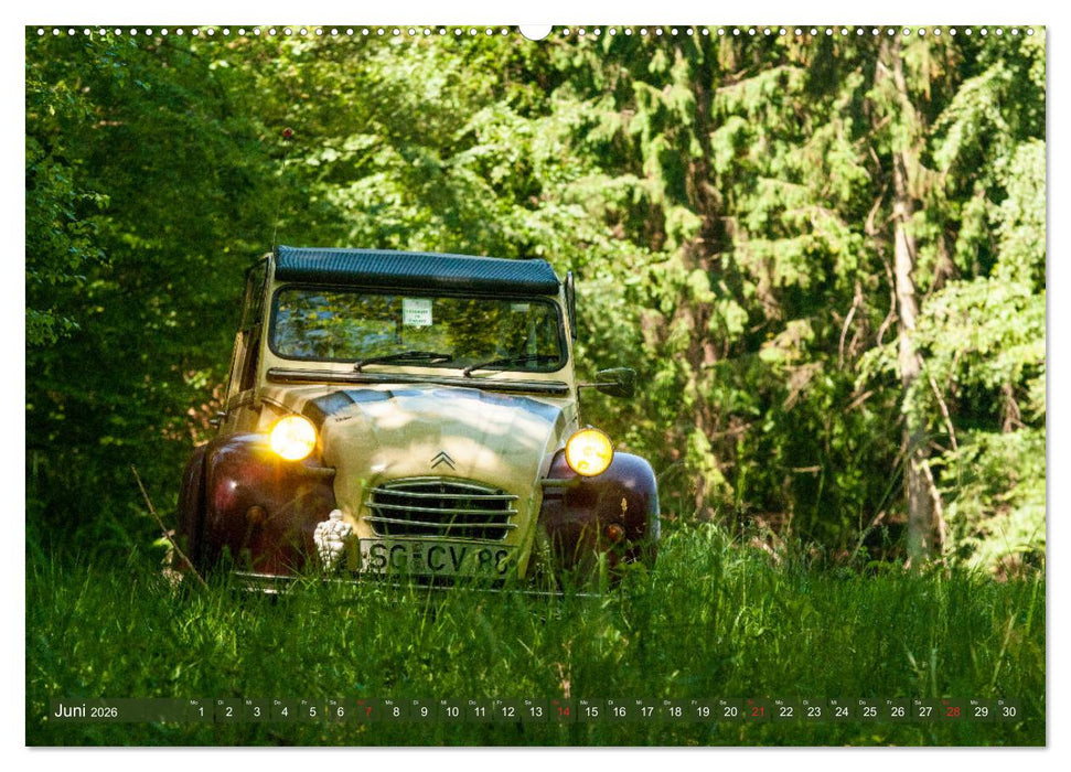 Die Ente ist sicher - Fahrspaß mit 2 CV Dolly (CALVENDO Wandkalender 2026)